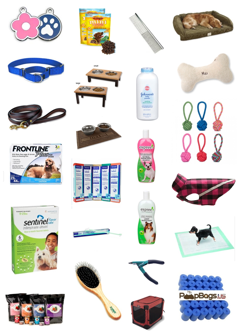 welcoming new rescue puppy supplies