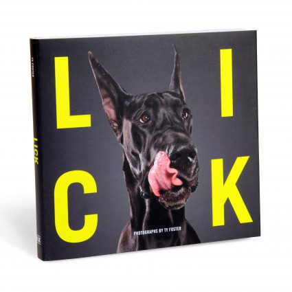 50048_Lick_Cover_3Q