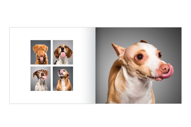 50048_Lick_Spread_02_Flat