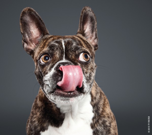 50048_Lick_Interior_M9.indd