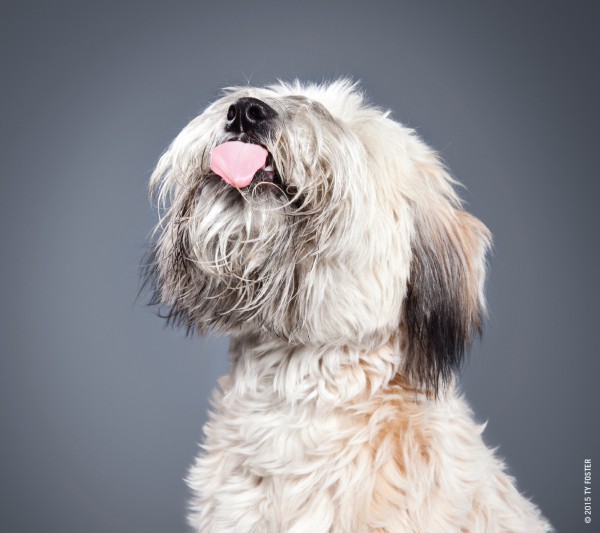 50048_Lick_Interior_M9.indd