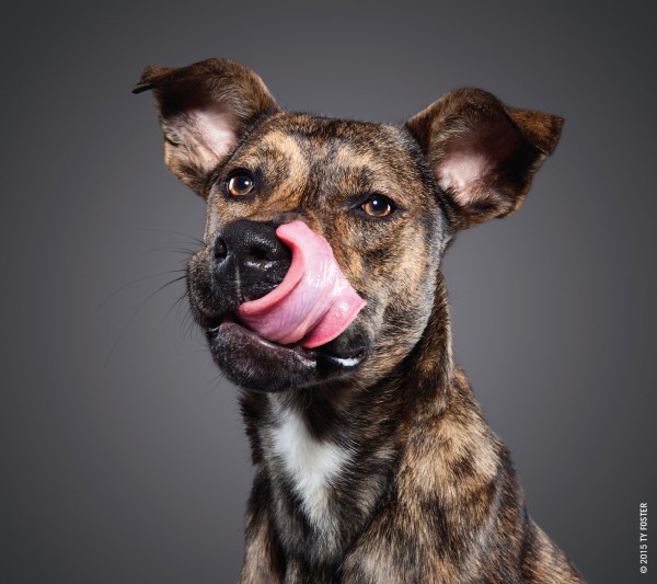 50048_Lick_Interior_M9.indd