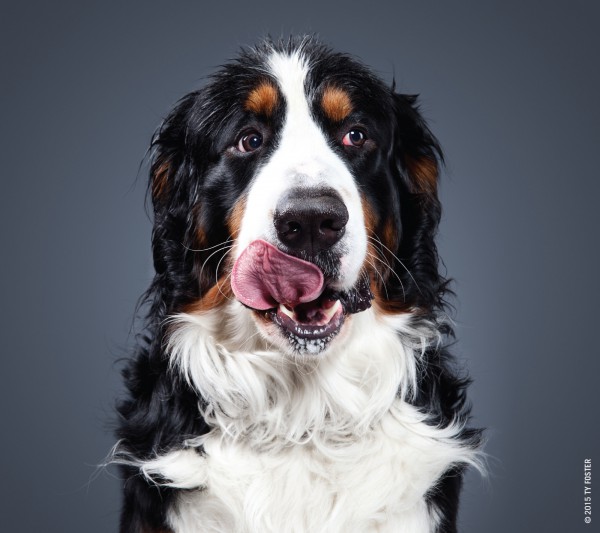 50048_Lick_Interior_M9.indd