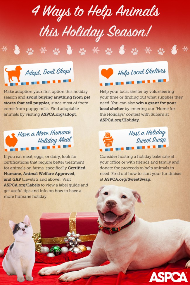 aspca holiday