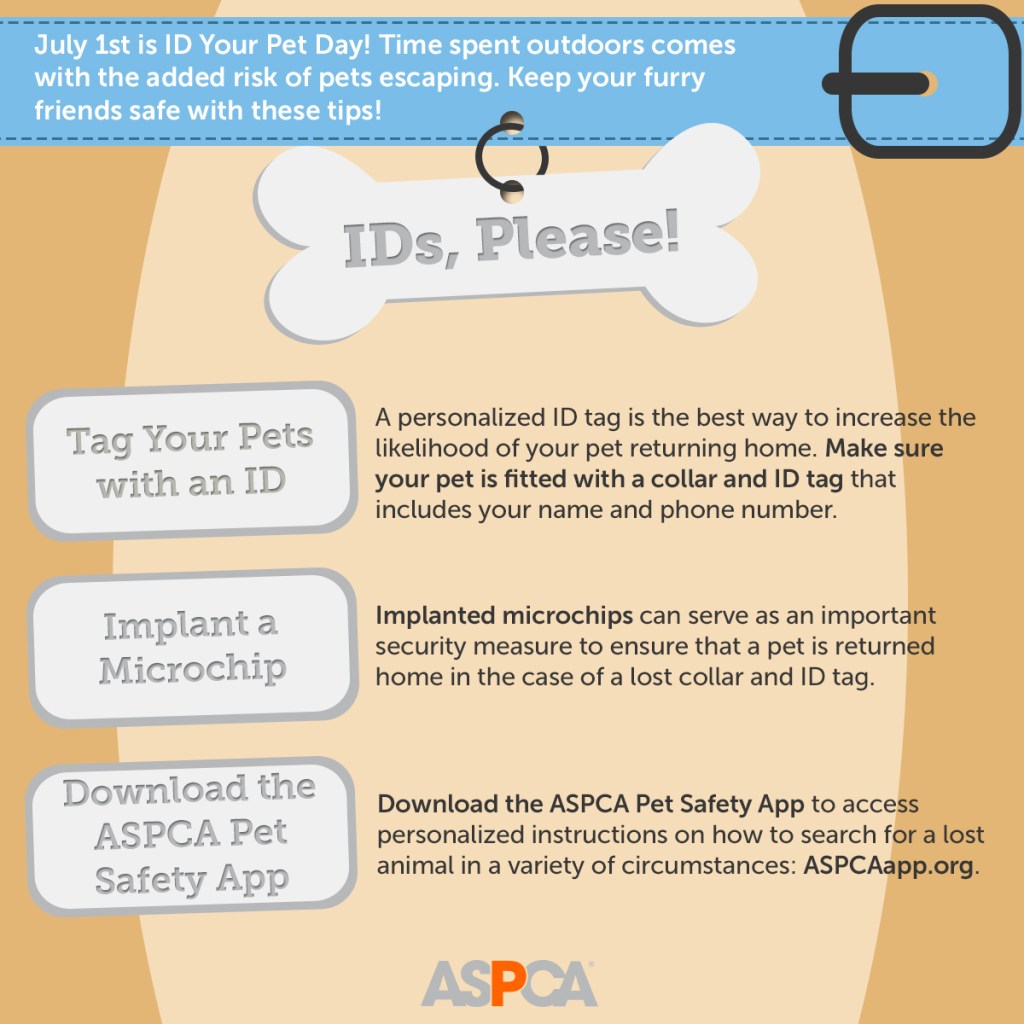 5be9f476-b706-446d-9b4a-252546d03b65