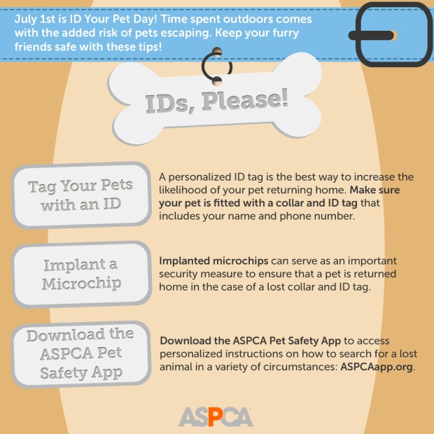 5be9f476-b706-446d-9b4a-252546d03b65